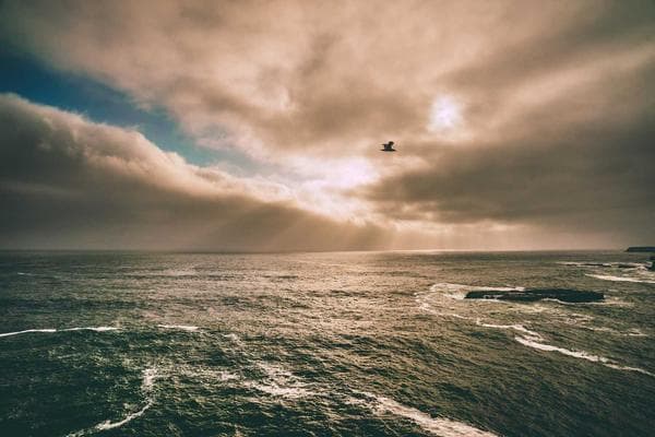 Offshore wind turbines in the North Sea near Denmark